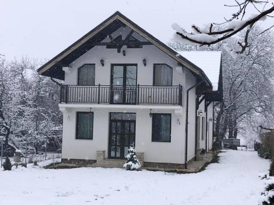 Pensiunea Cretisoara Campulung Exterior foto